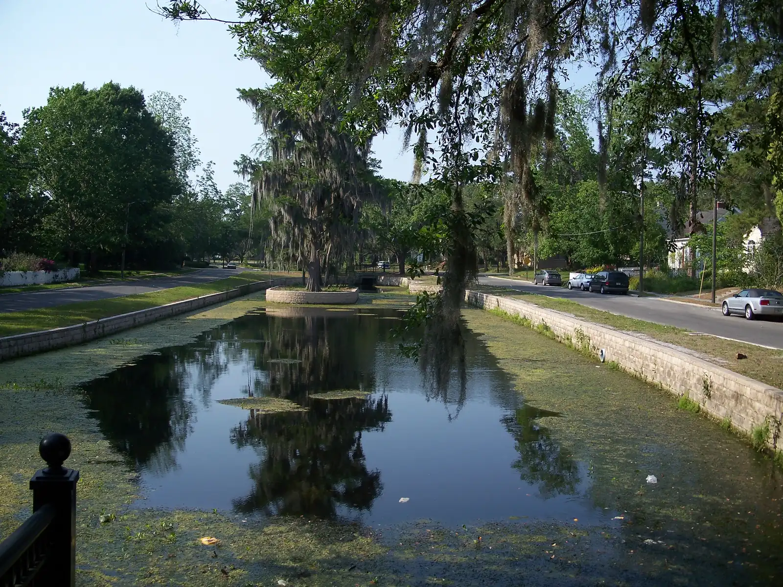The duck pond and houses in the Northeast Residential Historic District, in the Duckpond neighborhood of Gainesville