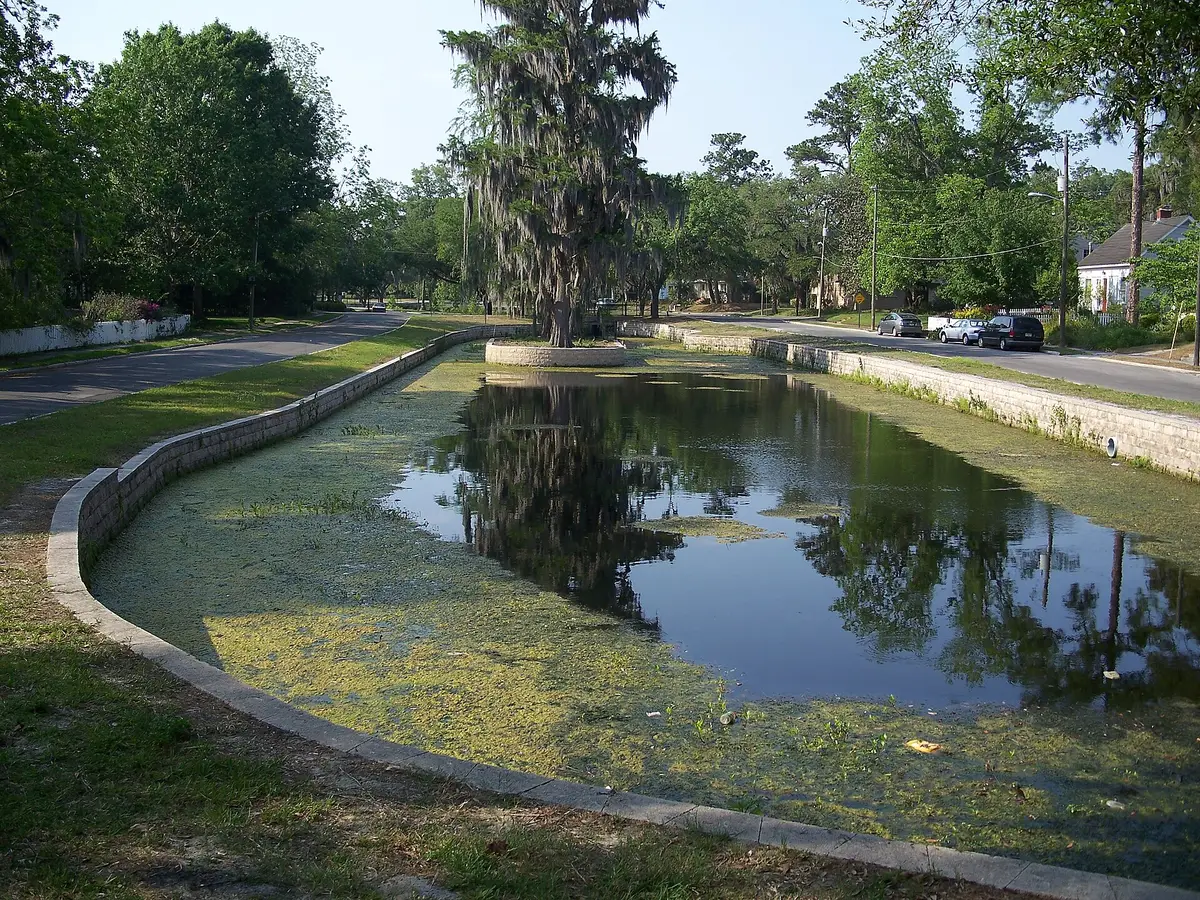 The Duck Pond in Gainesville's Northeast Residential Historic District.