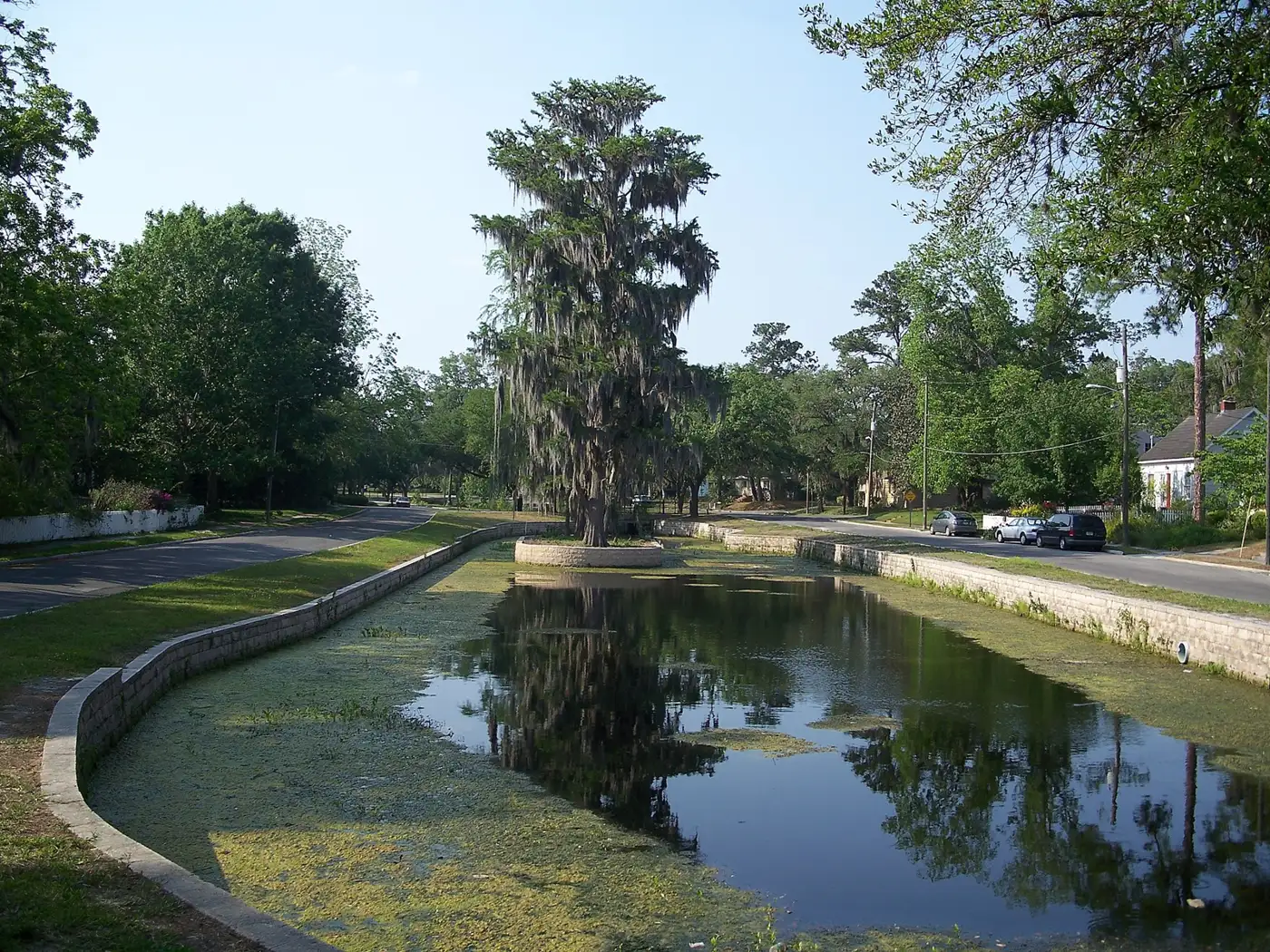 The Duck Pond and houses in Gainesville's Northeast Residential Historic District.