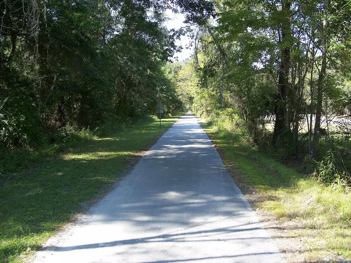 The paved Gainesville-Hawthorne State Trail under a canopy of trees east of Gainesville.